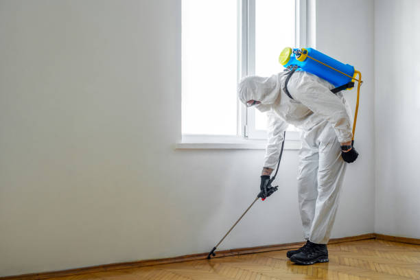 Wasp Removal Services in Jennings, LA