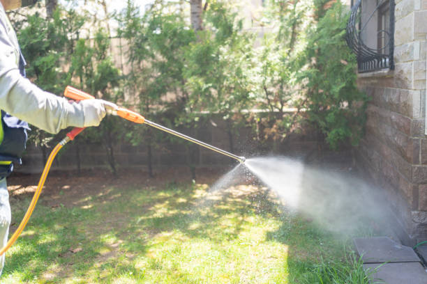 Best Flea Control Services  in Jennings, LA