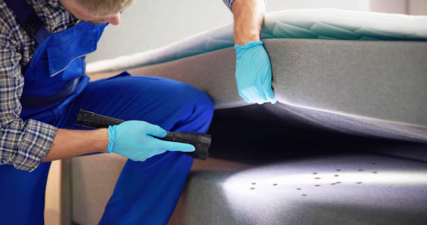 Trusted Jennings, LA Pest Control Experts